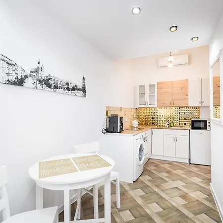 Center Luxury Wawelofts Apartment Krakow